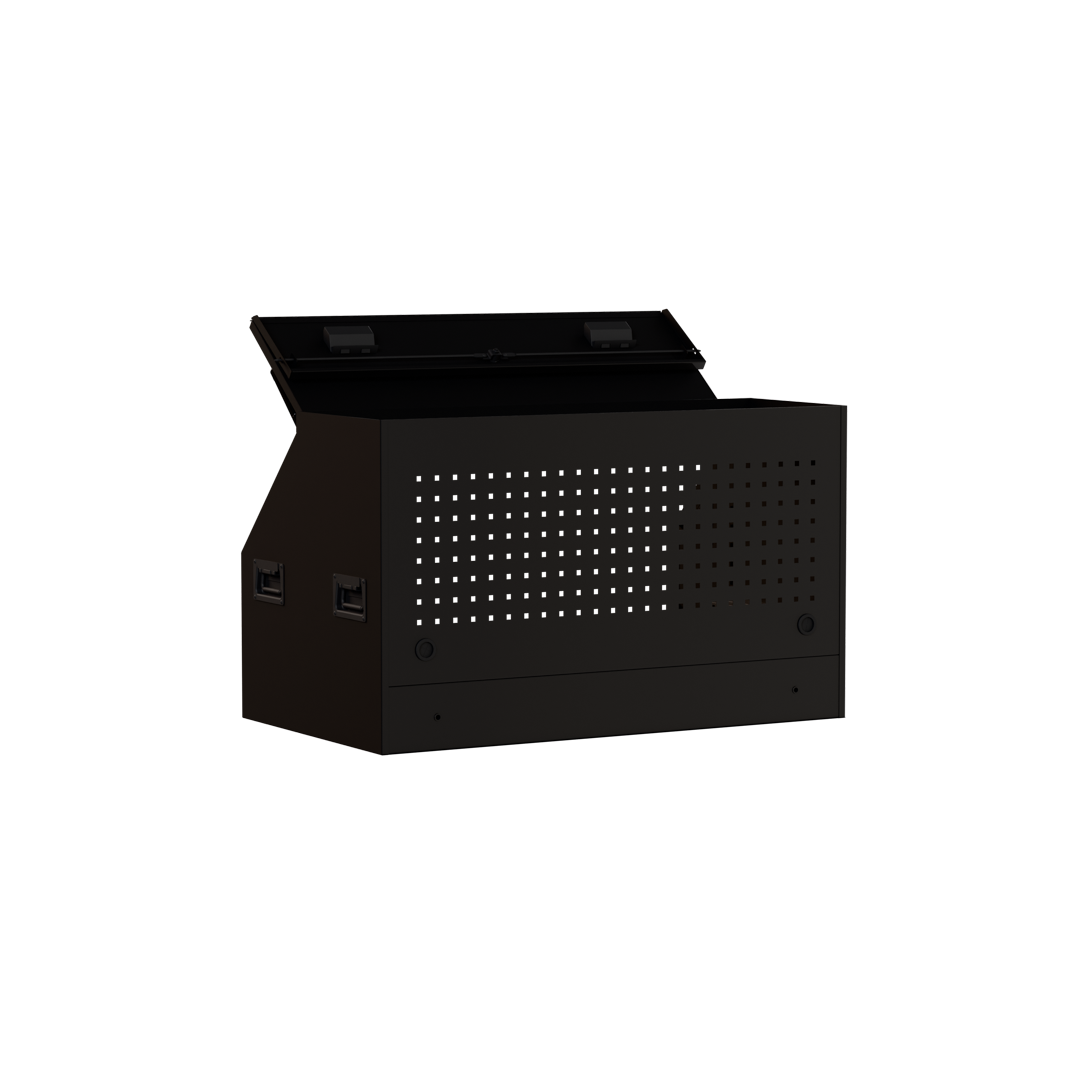 probe _210d