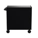 36-Inch RS Pro Rolling Cabinet - Rear View with Push Handle