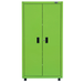 Viper Tool Storage Lime Green Locker Front View